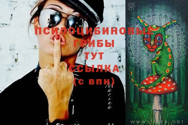 герыч Фурманов