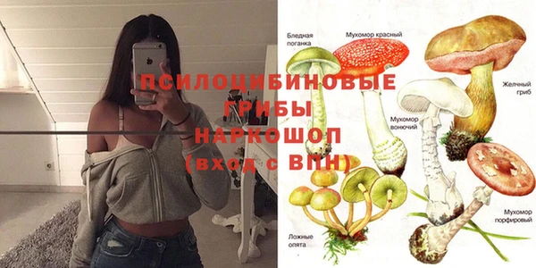 соль ск Хадыженск