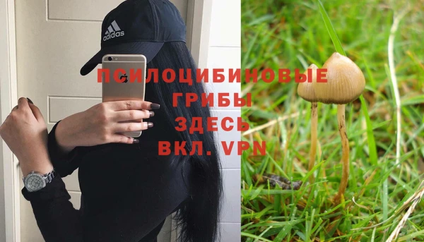 соль курить ск Горно-Алтайск