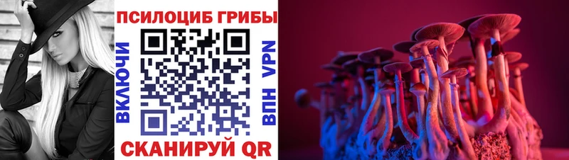 darknet формула  Артёмовский  Псилоцибиновые грибы Psilocybe 